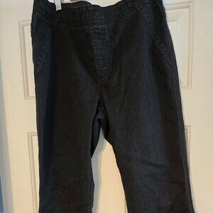 Chico's Platinum - Size 1 - Stretch/Pull on pant - Elastic waist - Boot cut